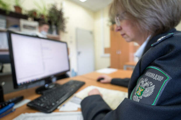 Россельхознадзор заблокировал более 230 сайтов незаконно реализующих ветеринарные препараты