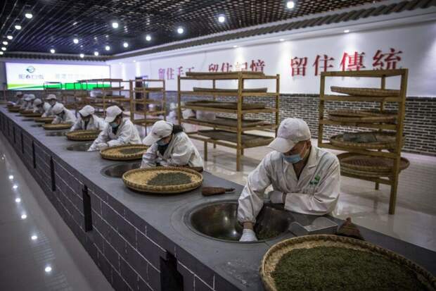 Где производят четвертую часть всего чая в мире