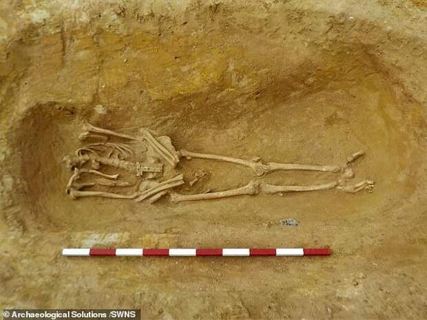 Загадка обезглавленных скелетов римской эпохи в Саффолке Англия, Скелет, Обезглавливание, Культ, Археологи, Археология, Длиннопост