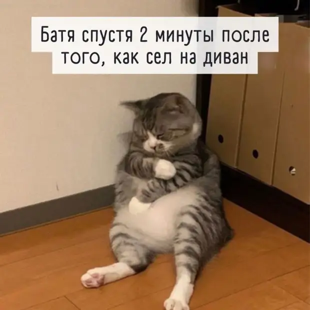 Отборный юмор - подборка смешных мемов с надписями