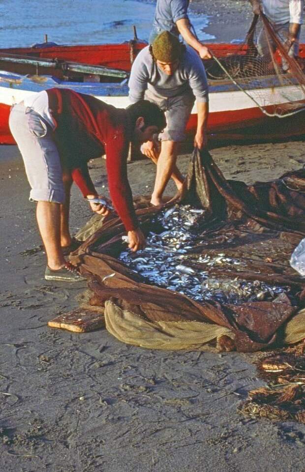 рыбаки