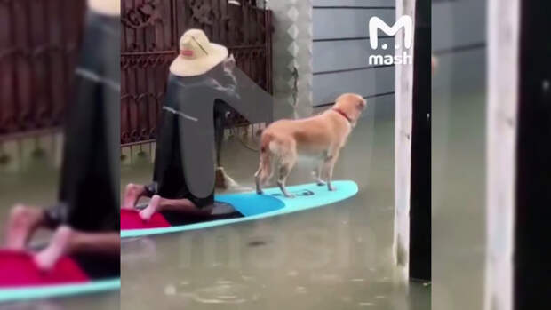 Потоп на Бали / Кадр из видео: Mash