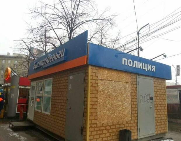 perly-kartinki-smeshnye-kartinki-fotoprikoly