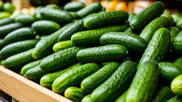 ФАС начала проверку цен на огурцы в крупнейших торговых сетях