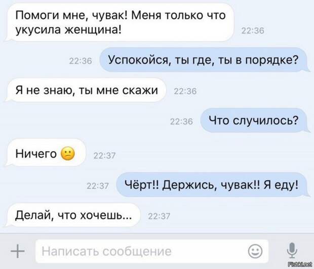 Четкая закупка, братан я в Европу и многое другое в воскресных прикольных картинках