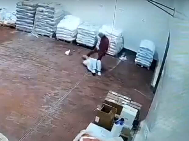 Видео: В Гагарине работник мясоперерабатывающего завода жестоко избил девушку