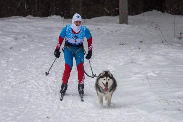 Прощай, лыжня: в парках Новосибирска официально закрывают зимний сезон
