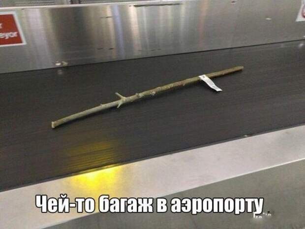 Пятничная подборка забавных картинок забавные картинки, прикол, юмор