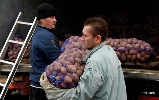 Вести с полей аграрной сверхдержавы: Украина увеличила импорт картофеля в 700 раз