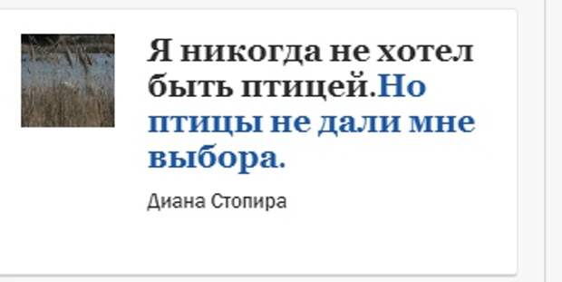 12 смешных заголовков от гугл-переводчика