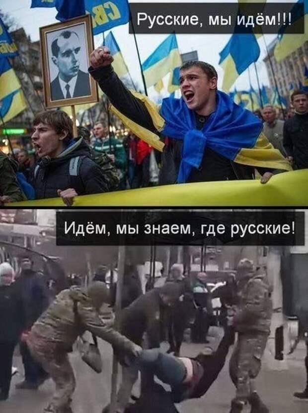 Донецкая группа новостей, Донецк ДНР