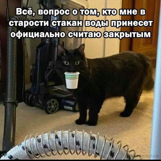 Супер веселые картинки и мемы