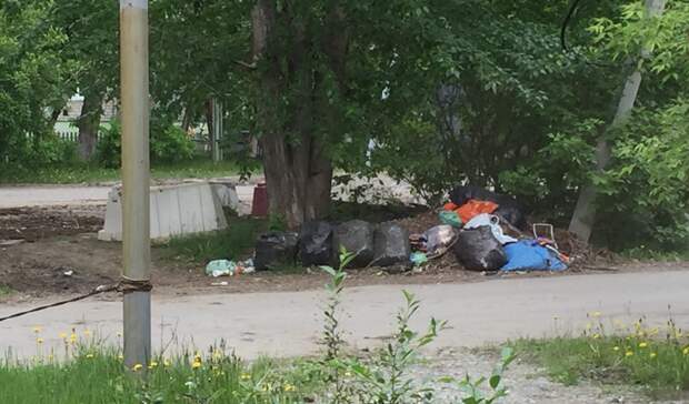 В Антипино возникла свалка при уборке территории от листьев