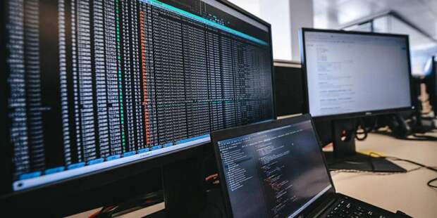 Итоговая явка на онлайн-голосовании на выборах Москве составила 92,3%. Фото: mos.ru