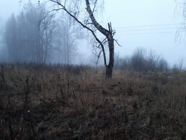 На Тверскую область опустился густой туман