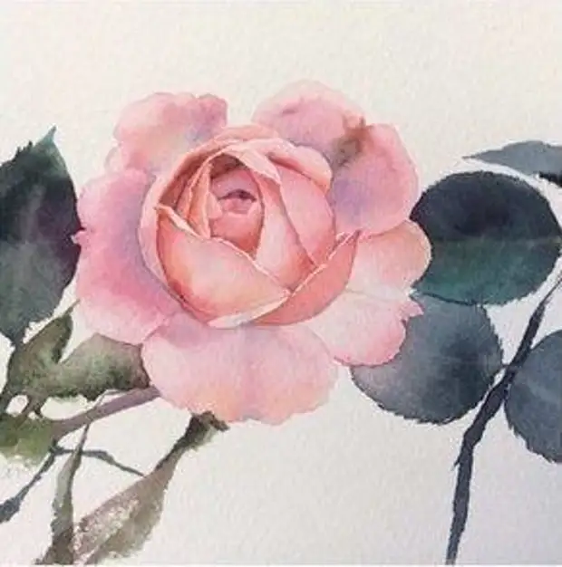 Рисуем розы мастер класс