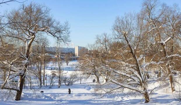Облачная погода и до 13 градусов мороза ожидаются в Москве 6 февраля
