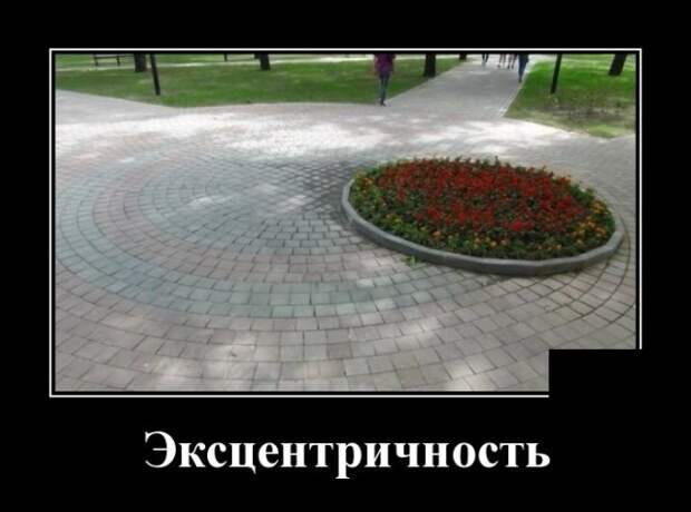 Демотиваторы (20 фото)