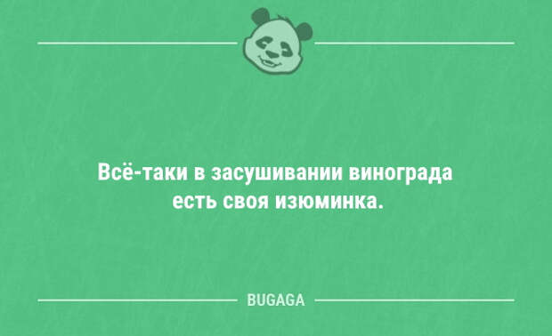 Анекдоты дня (12 шт)