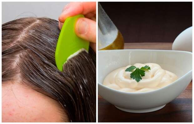 Майонез сможет заменить медикаменты для борьбы со вшами Майонез сможет заменить медикаменты для борьбы со вшами