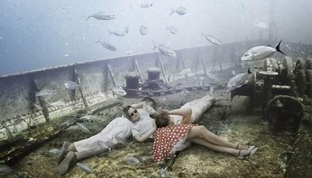 Жизнь на затонувшем корабле: подводный мир фотографа и дайвера Андреаса Франке