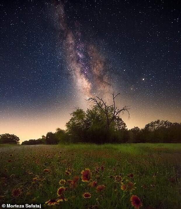Млечный Путь над полями Техаса