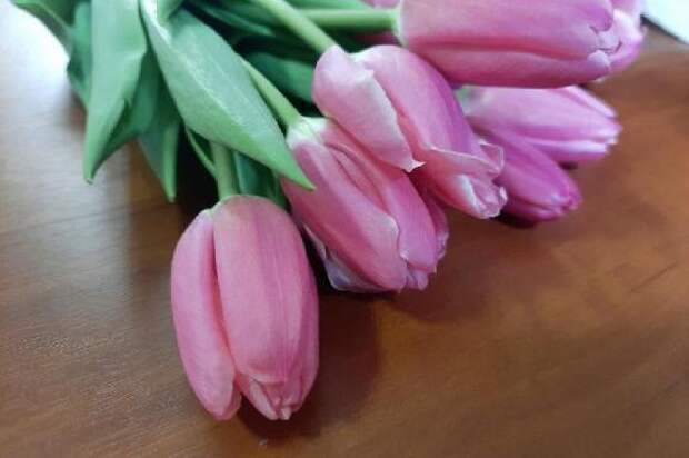 В России отмечается Международный женский день