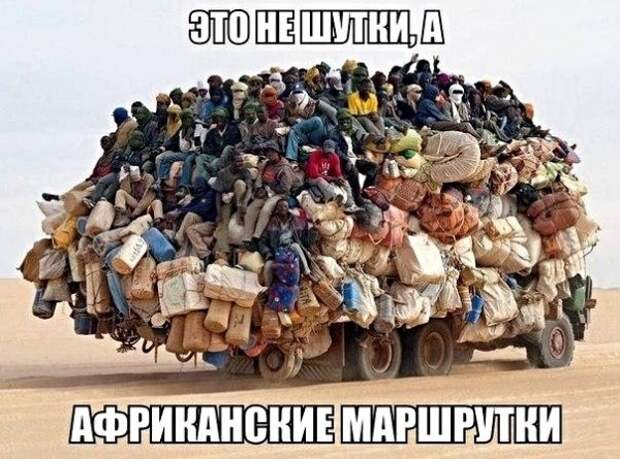 Картинки с надписями, истории и анекдоты