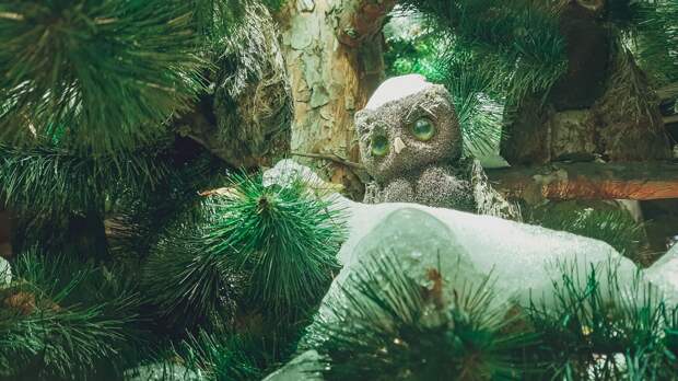 Изнуряющий отдых: почему после праздников нет сил — и что еще можно успеть сделать