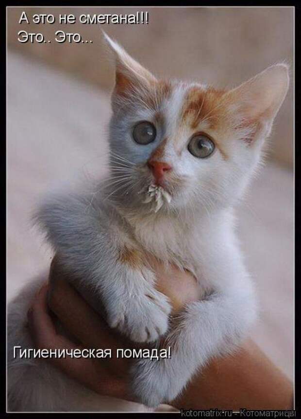 Мысли вслух :)