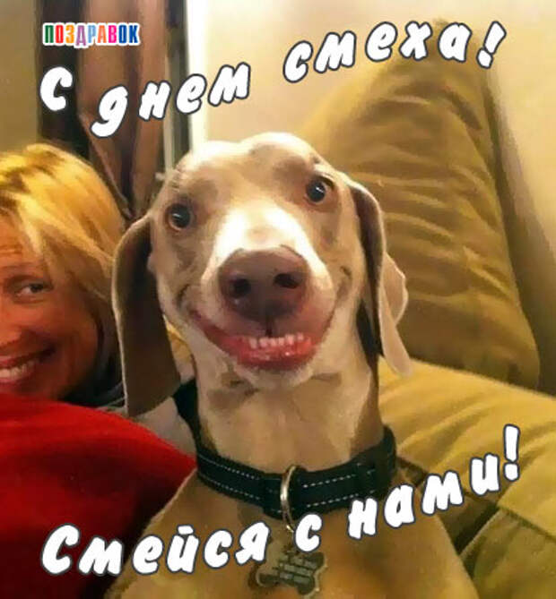 Похожее изображение