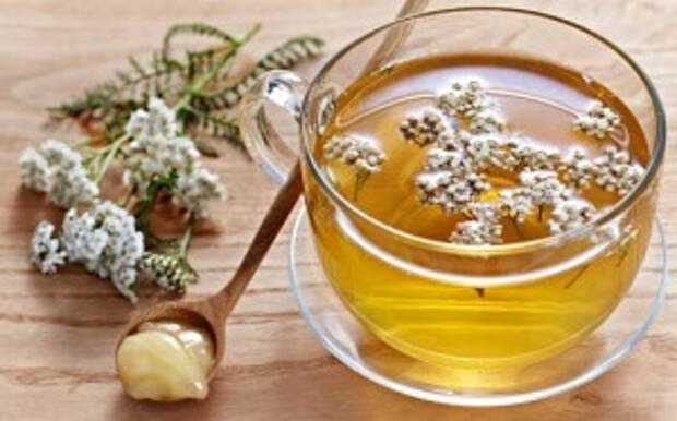 настой тысячелистника