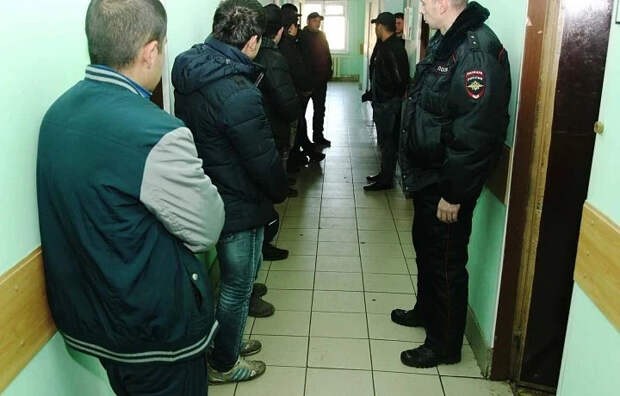 С начала года в Тульскую область прибыли нелегалы из Кубы, Индии и Узбекистана