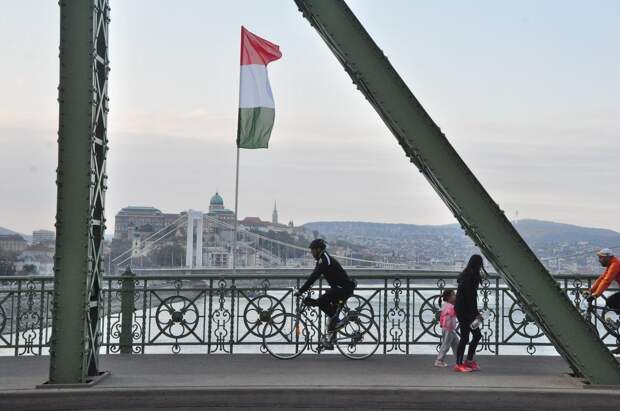 В Венгрии прошла акция против социальной политики правительства Орбана