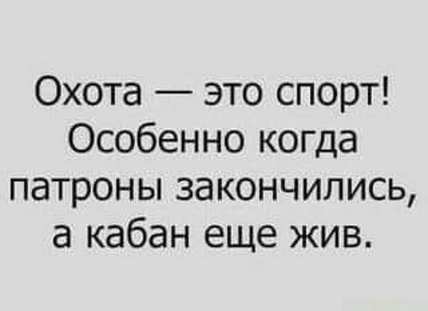 Возможно, это изображение (один или несколько человек и текст «охота это спорт! особенно когда патроны закончились, a кабан еще жив.»)