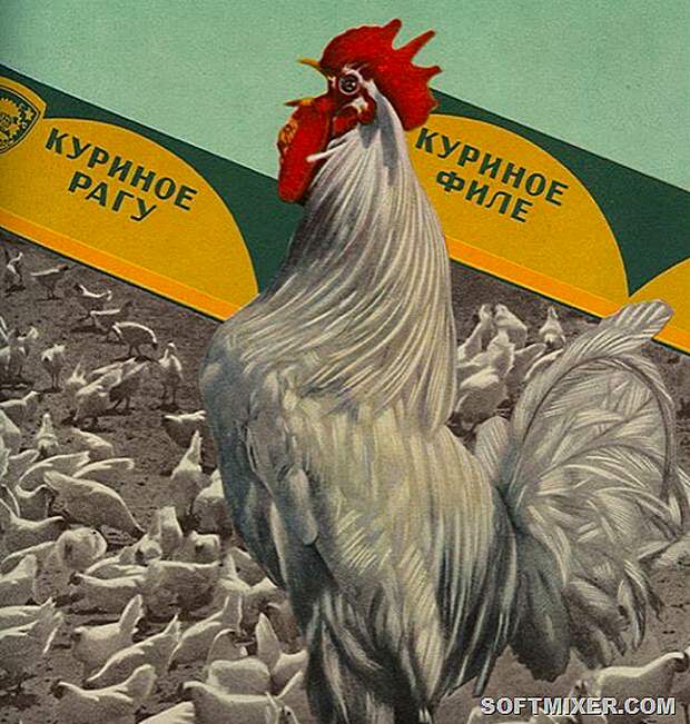 Импорт в СССР
