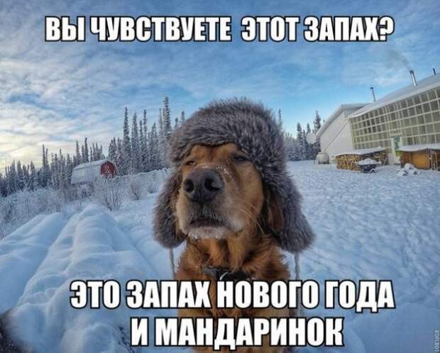 Прикольные фото уходящего года! приколы, фото, юмор