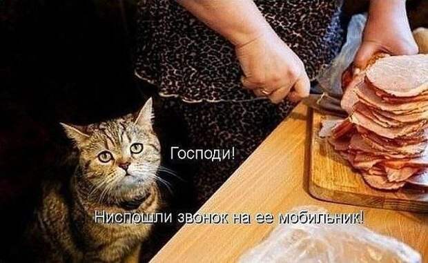 ow8DW_3dhdE