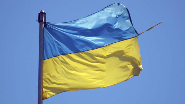 Украина рассмешила политолога Баширова обвинением Германии в предательстве