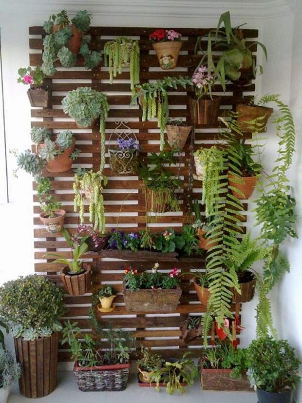 Крутой мини-сад в комнате создан при помощи размещения его на стене, что сэкономит пространство.