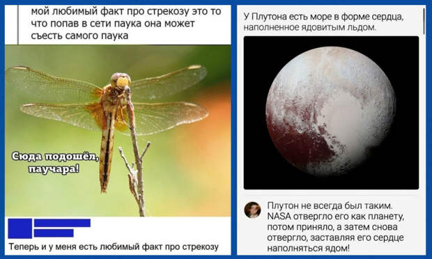 Забавные комментарии, которые как острый соус приправляют сам пост