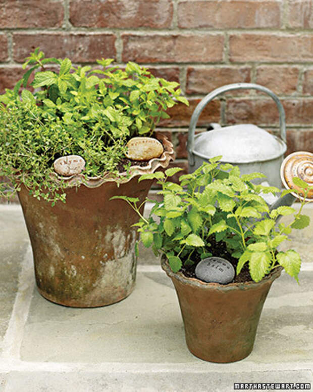 flowers-container-ideas-by-marta13 (400x500, 222Kb)