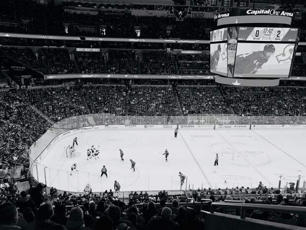 Игроки НХЛ поделились своим мнением о перспективных хоккеистах перед драфтом 2024 года