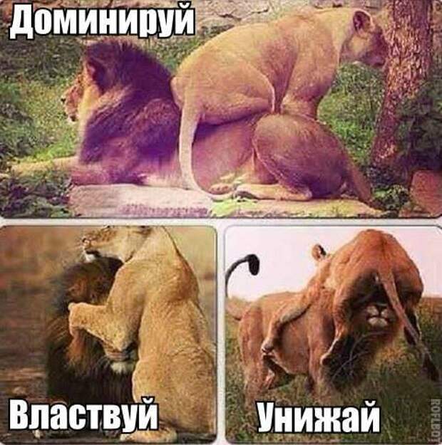 Всё в кучу 26