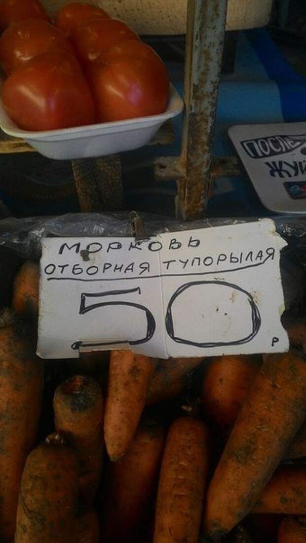 Морковь тупорылая  животные, кадр, люди, фото, фотоподборка
