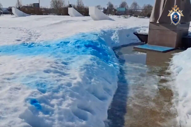 Калужский СК возбудил уголовное дело после гендер-пати у памятника Жукову