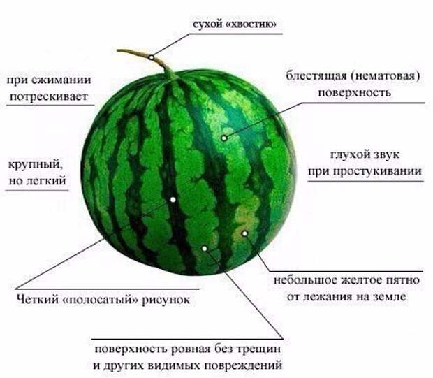 Картинки, юмор, приколы