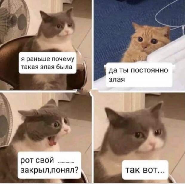 Лучшие шутки и мемы из Сети