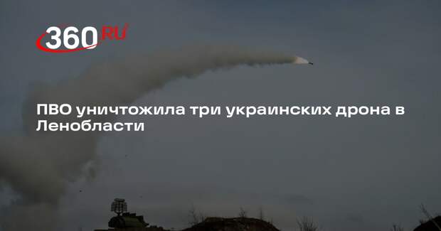 Дрозденко: силы ПВО уничтожили три БПЛА в Лужском районе Ленобласти