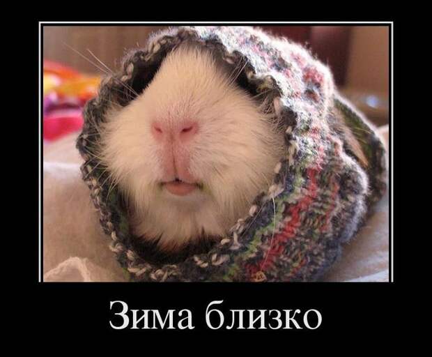 Зима близко Зима близко демотиватор, прикол, юмор